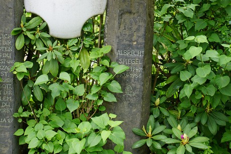 Bad Godesberg